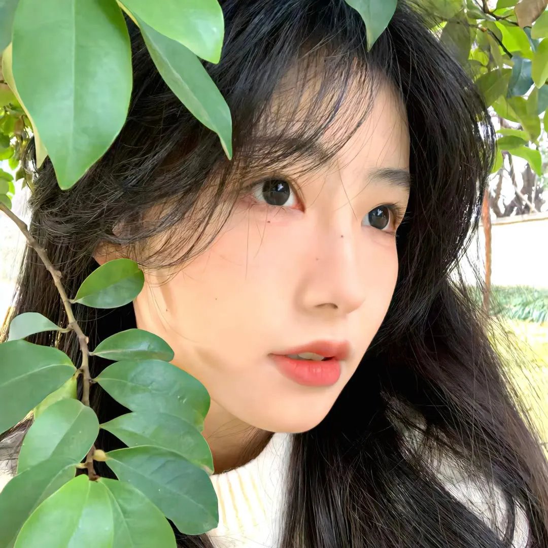 我的武林男友