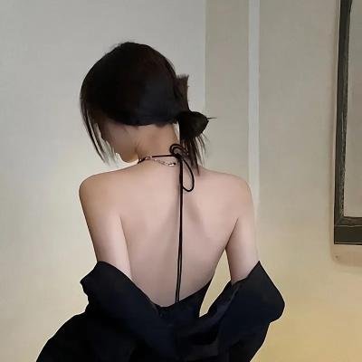 驯龙宝典